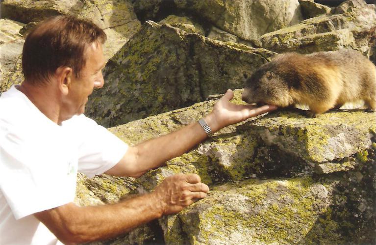 vue du parking de Plan Lachat vue du parking de Plan Lachat