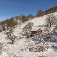 Le Collet d'en Bas (Albiez)