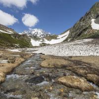 Proche du lac de la Partie (Vanoise)
