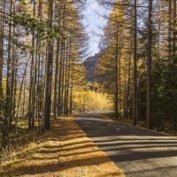 Route du Planay en automne