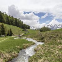 Vallon de l'Orgère (Vanoise)