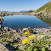 Lac de Roche Noire (Valmeinier)