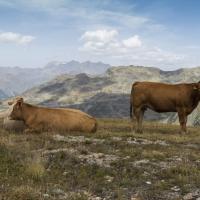 L'air pur pour le bon goût du beaufort