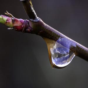 Attention ça va piquer