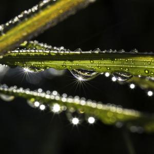 Les flonflons de la fête