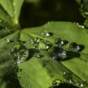 Inspection de diamants