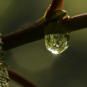 Taille maxi avant explosion